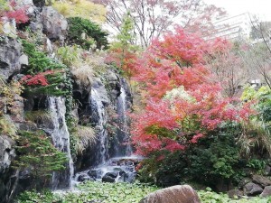 IMG_20181202_130823