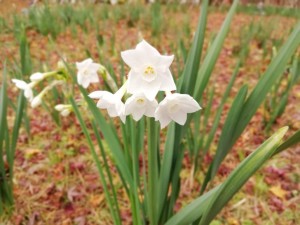 IMG_20181208_095319