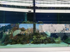 IMG_20181224_115352