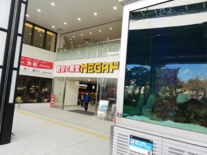 IMG_20181224_115428