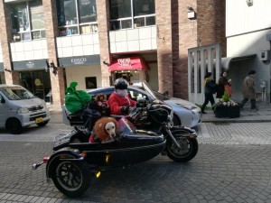 IMG_20181224_115822