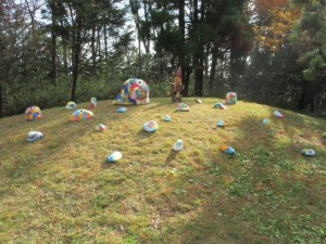 IMG_2526