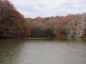 IMG_2531