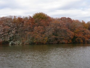 IMG_2532