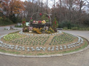 IMG_2535