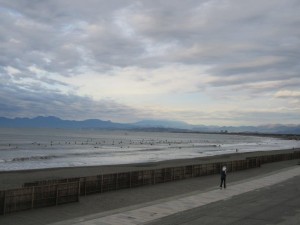 IMG_2537