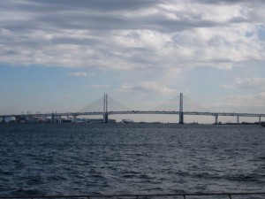 IMG_2545