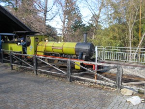 IMG_2607