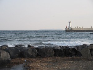 IMG_2659