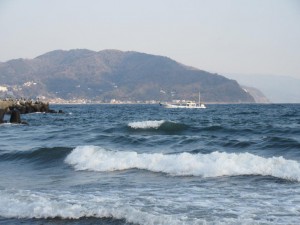 IMG_2660