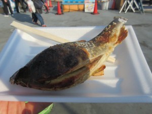 IMG_2668