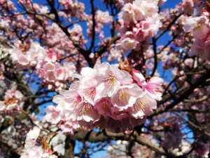 IMG_20190127_081457