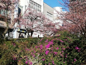IMG_20190127_082141