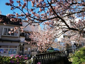 IMG_20190127_082440