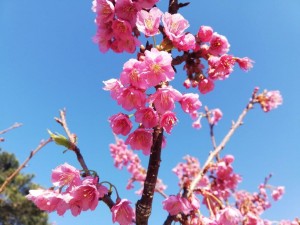 IMG_20190203_090925