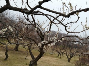 IMG_20190211_162116