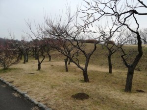 IMG_20190211_162133