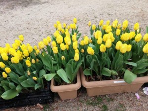 IMG_20190211_162911