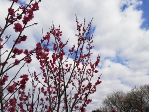 IMG_20190217_084938