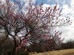 IMG_20190217_085531