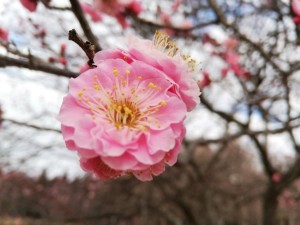 IMG_20190217_085704
