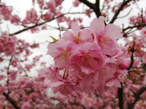 IMG_20190223_081823