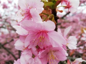 IMG_20190223_081836
