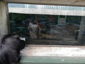 IMG_20190223_125320