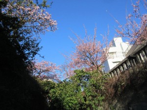 IMG_2680