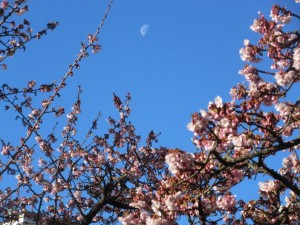 IMG_2692