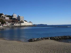 IMG_2698