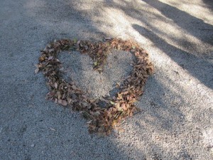 IMG_2708