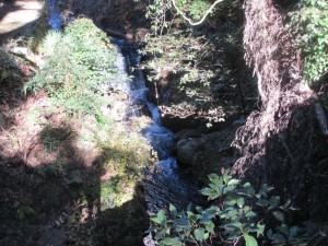 IMG_2710