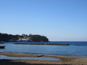 IMG_2724