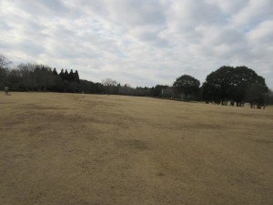 IMG_2796