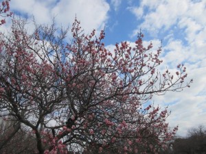 IMG_2801