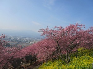 IMG_2829
