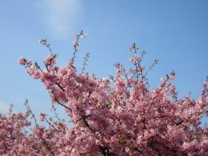 IMG_2832