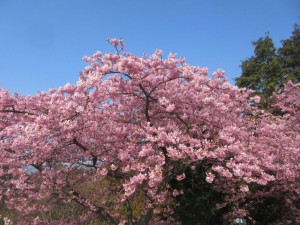 IMG_2835