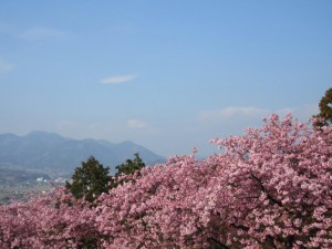 IMG_2836
