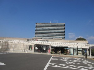 IMG_2839