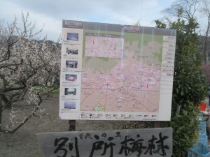 IMG_2854