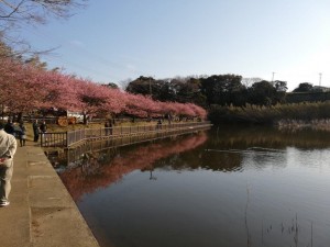IMG_20190224_080817