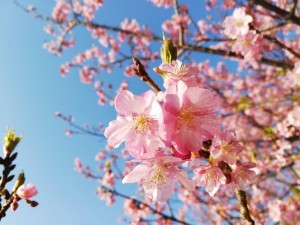 IMG_20190224_081114