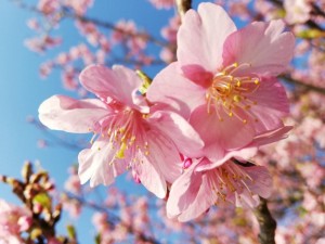 IMG_20190224_081126_1