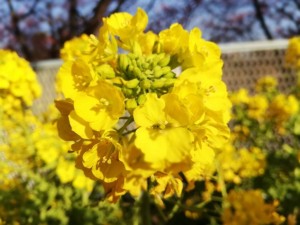 IMG_20190224_083653