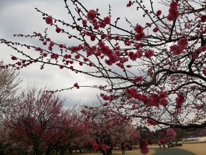 IMG_20190303_091057