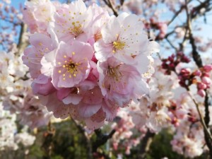 IMG_20190316_081823