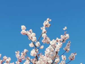 IMG_20190316_083111