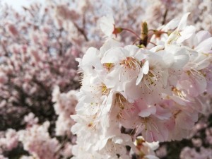 IMG_20190316_095400